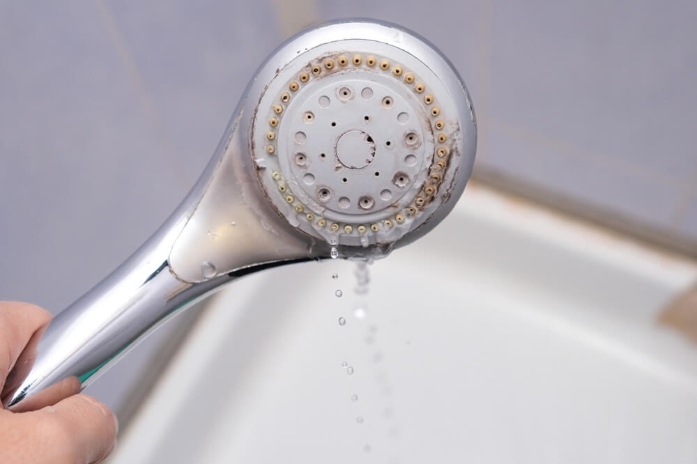 showerhead with lime